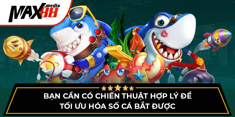 Bạn cần có chiến thuật hợp lý để tối ưu hóa số cá bắt được